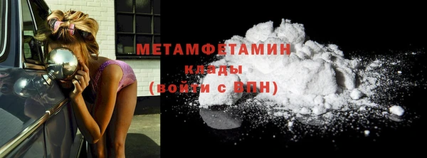 прущие грибы Новозыбков