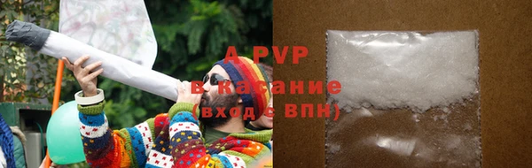 дмт Нея