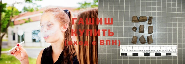 прущие грибы Новозыбков