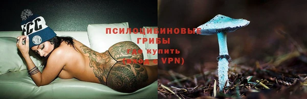 дмт Нея