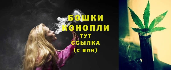дмт Нея