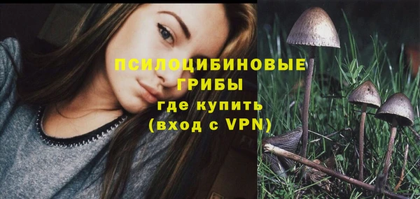 шишки Вязники