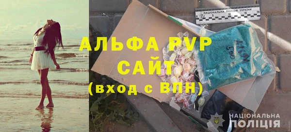 прущие грибы Новозыбков