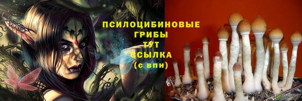 дмт Нея