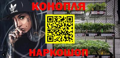 шишки Гатчина