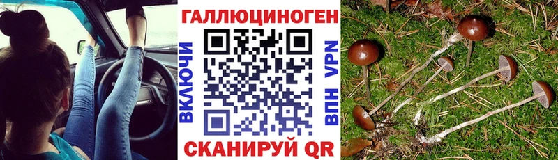 Галлюциногенные грибы мицелий  где можно купить наркотик  Ипатово 